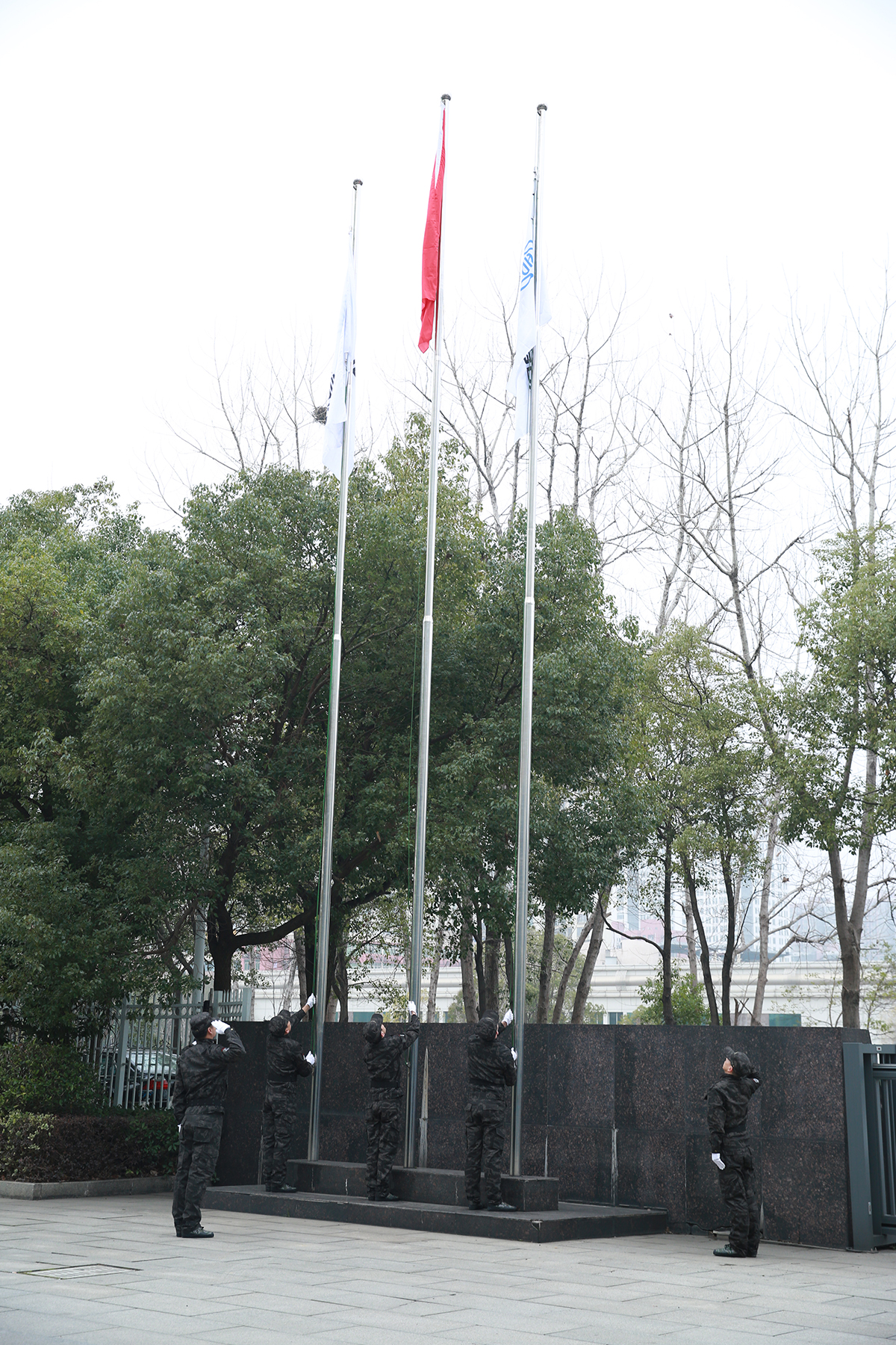 ������ʽ